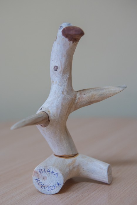 Wyróżnienie Stefan Kaczmarek, Włocławek, fot. Mikołaj Kuras dla UMWKP