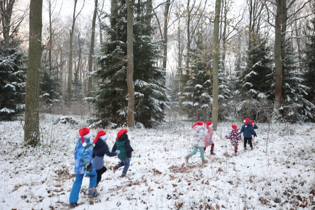 Marszałkowi Piotrowi Całbeckiemu podczas wyboru choinki towarzyszyły dzieci z gminy Unisław, fot. Mikołaj Kuras dla UWMKP