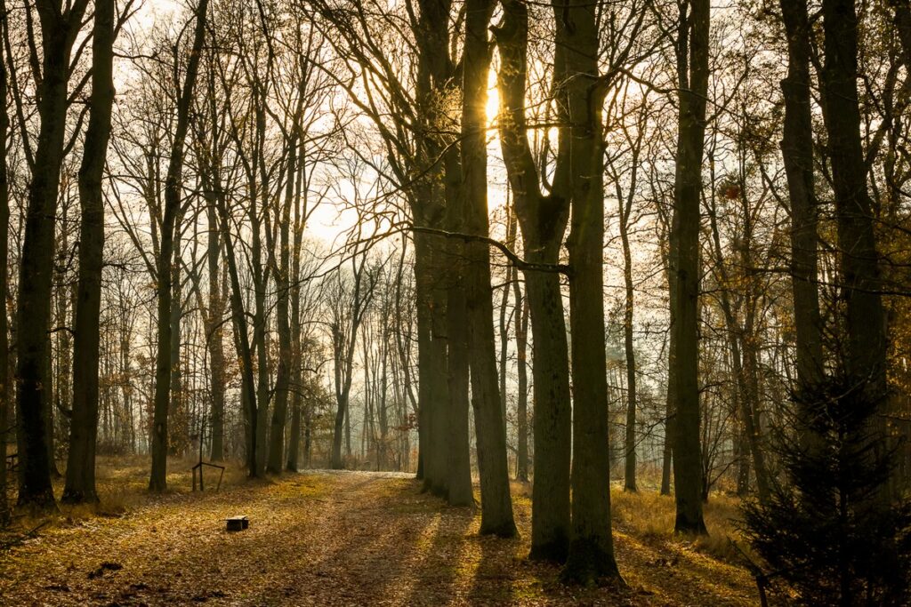Pałac Lubostroń został uznany za pomnik historii fot. Tomasz Czachorowski/eventphoto.com.pl dla UMWKP