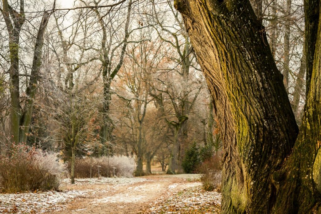Pałac Lubostroń został uznany za pomnik historii fot. Tomasz Czachorowski/eventphoto.com.pl dla UMWKP