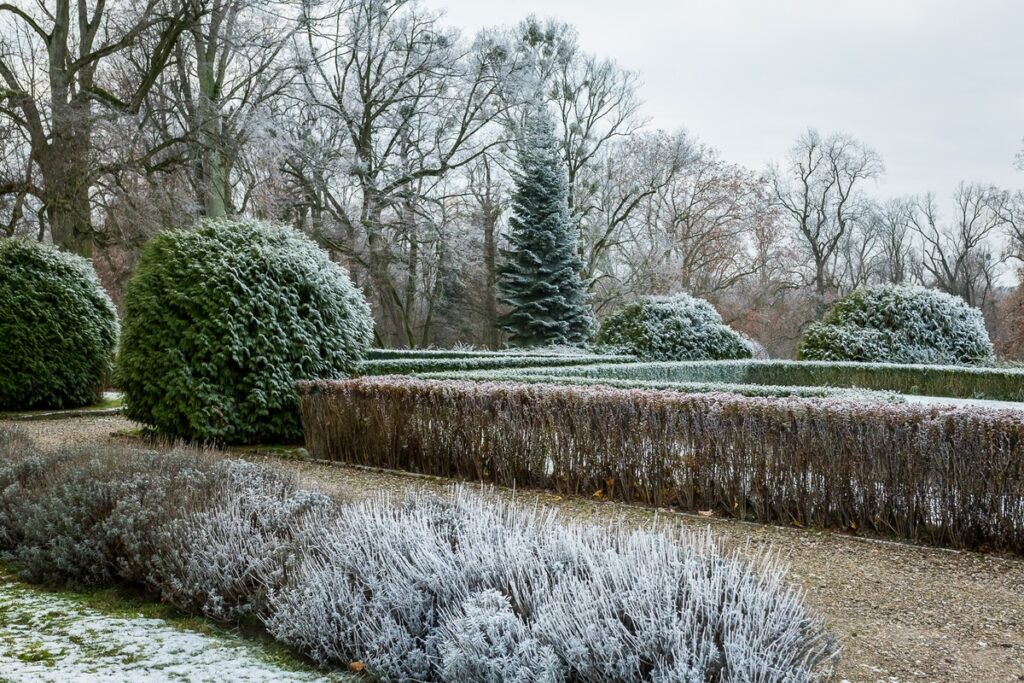 Pałac Lubostroń został uznany za pomnik historii fot. Tomasz Czachorowski/eventphoto.com.pl dla UMWKP