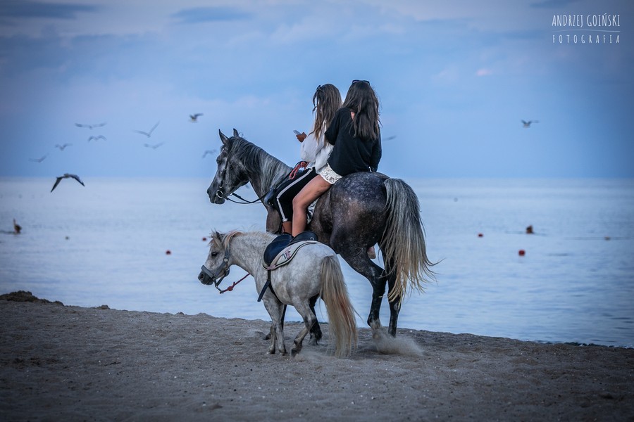 „Morze Czarne”, fot. Andrzej Goiński