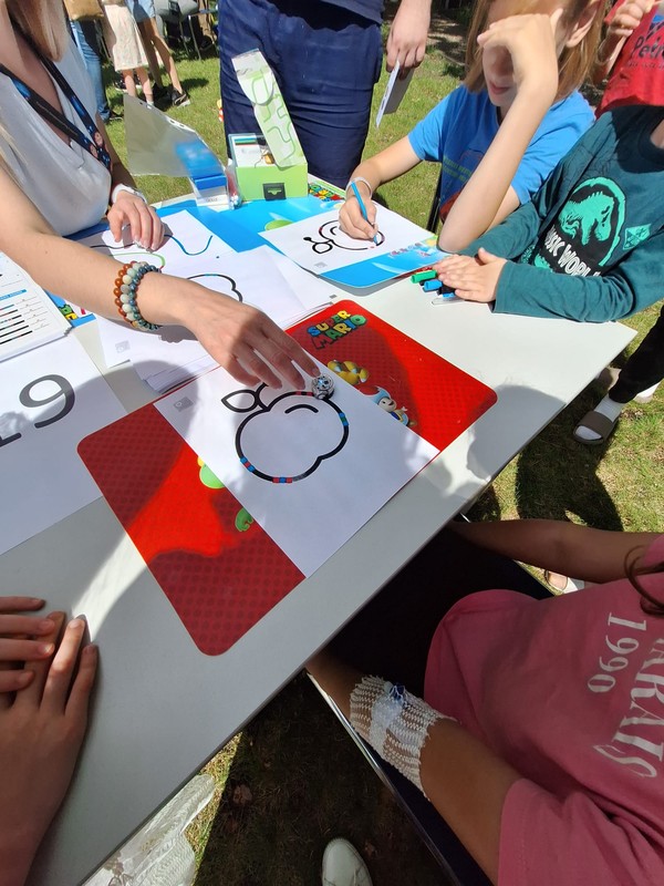 Ozoboty - zdj. Katarzyna Lewandowska