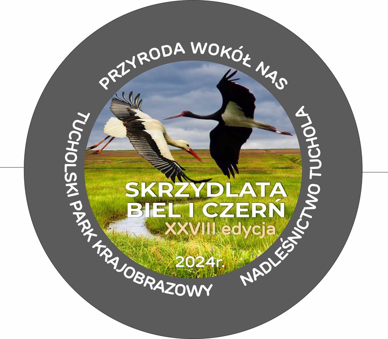Grafika - Konkurs - Skrzydlata biel i czerń