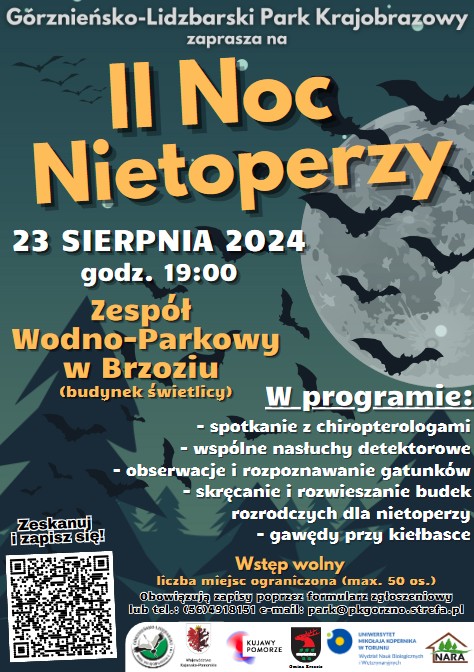 Plakat - II Noc Nietoperzy