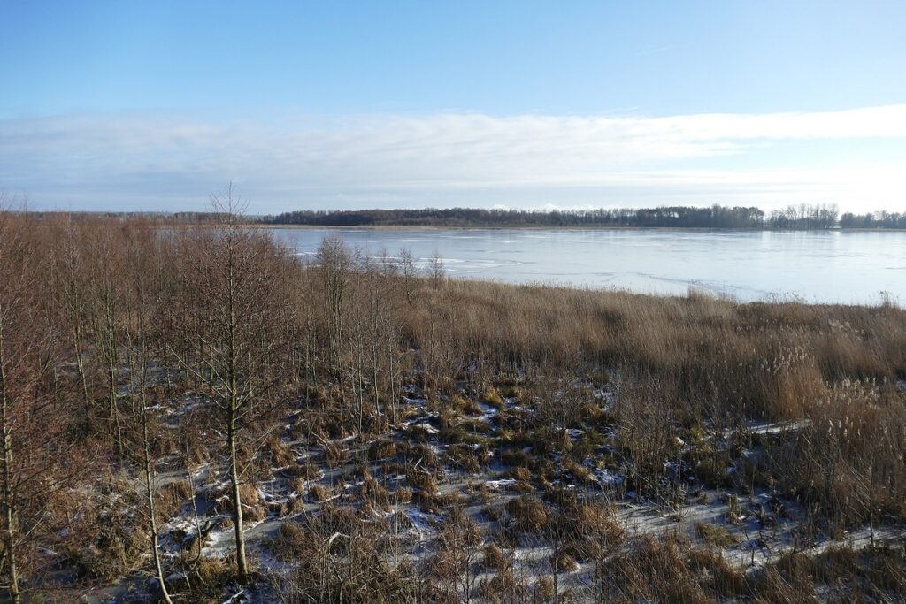 Fot. Krzysztof Wojtkowiak - Widok z wieży widokowej we Wielu