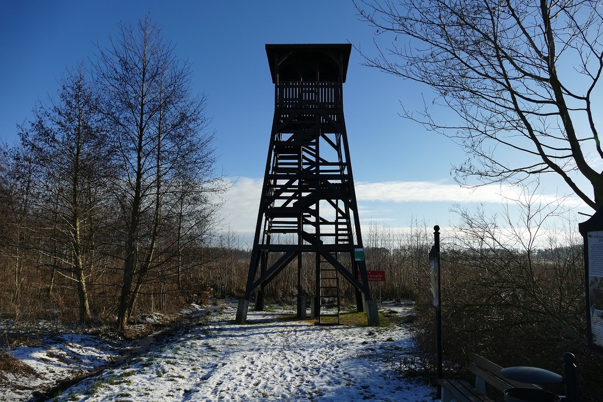 Fot. Krzysztof Wojtkowiak - Wieża widokowa w miejscowości Wiele