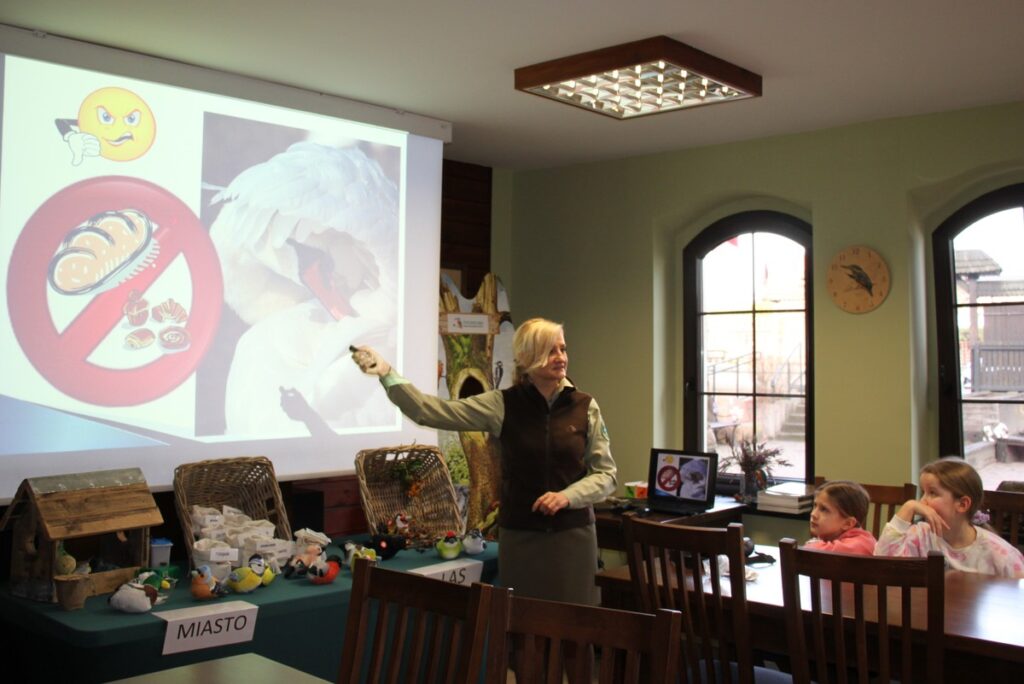 uczymy się prawidłowego dokarmiania ptaków wodnych, fot.D.Borzyszkowska