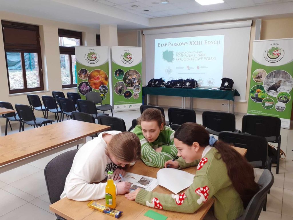 Praca w grupach, fot. WPK