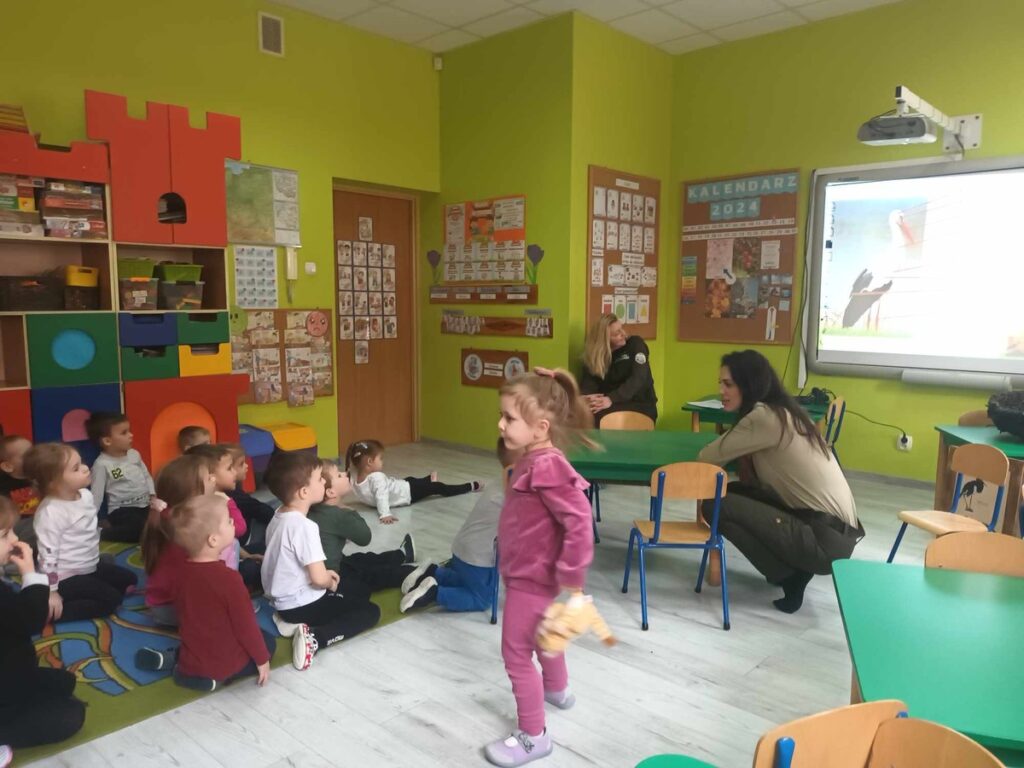 Opis wyglądu bociana białego, fot. WPK