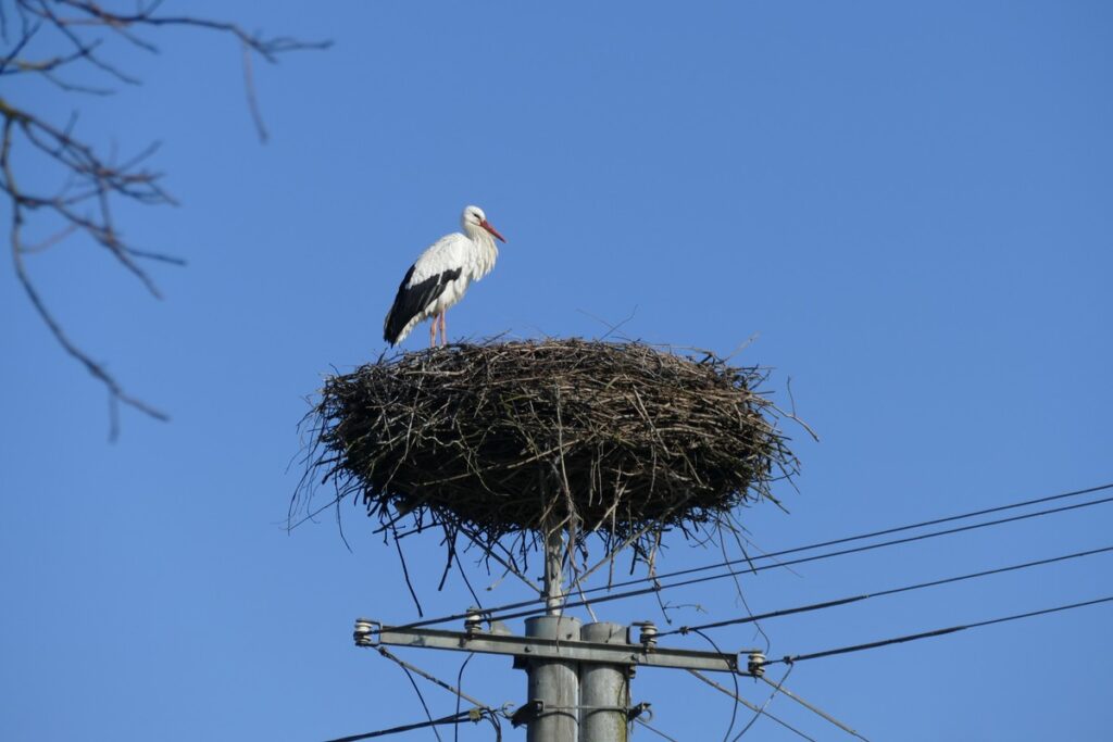 fot. Krzysztof Wojtkowiak KPK