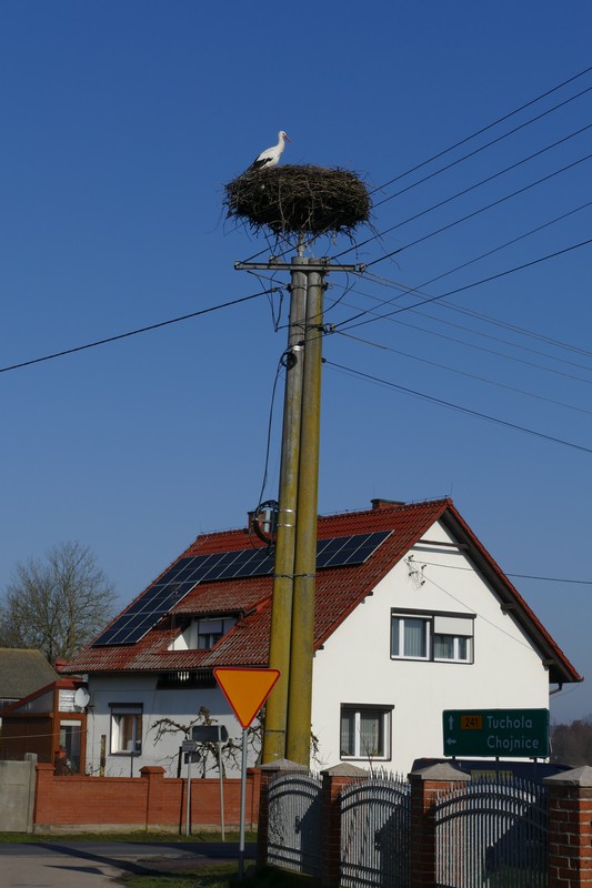 fot. Krzysztof Wojtkowiak KPK