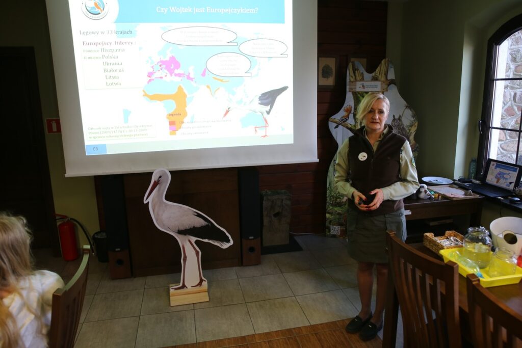 Zajęcia o bocianie białym w siedzibie TPK, fot. R. Borzyszkowski