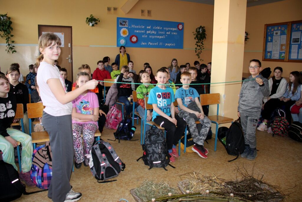 Sprawdzamy rozpiętość skrzydeł bociana białego, fot. D. Borzyszkowska