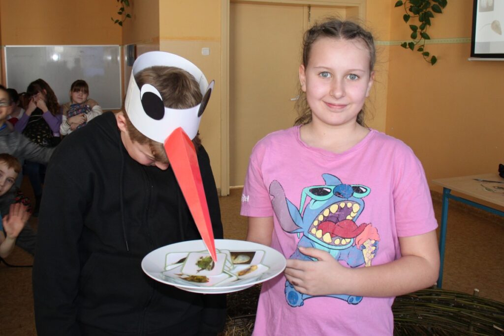 Bocian biały to mięsożerca, fot. D. Borzyszkowska