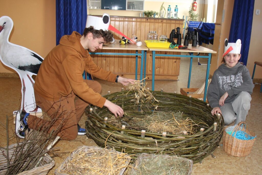 Budujemy gniazdo na platformie lęgowej, fot. D. Borzyszkowska