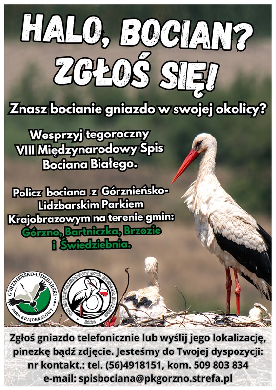 Plakat infomujący o prowadzonym spisie bociana białego (autor GLPK)
