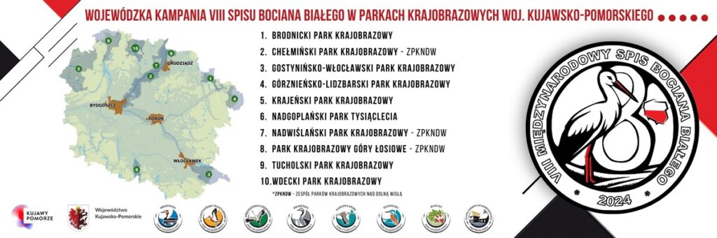 Wojewódzka Kampania VIII Spisu Bociana Białego w Parkach Krajobrazowych Woj. Kujawsko-Pomorskiego (autor Piotr Szumigaj - WPK)