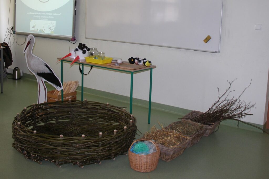 Pomoce dydaktyczne do zajęć, fot. D. Borzyszkowska