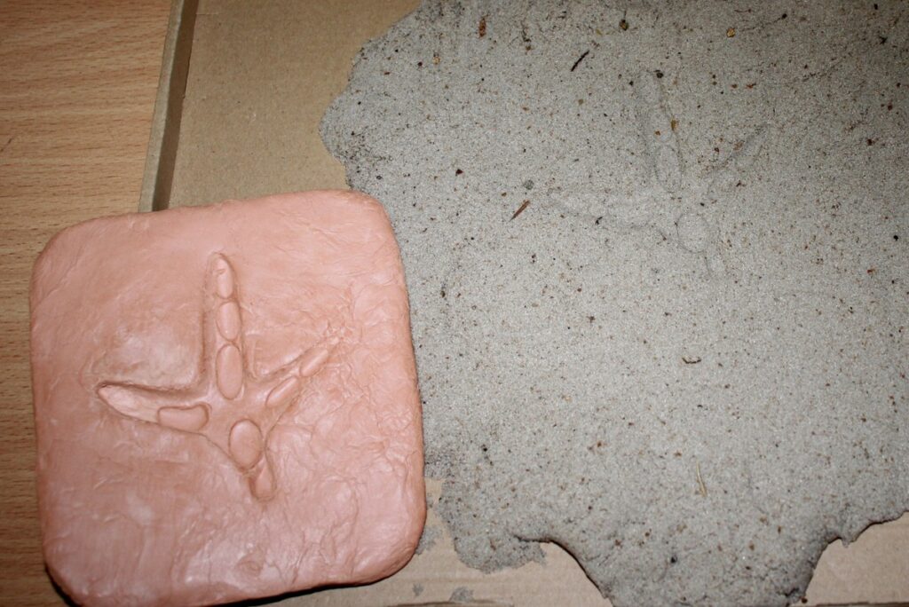 Trop bociana białego, fot. D. Borzyszkowska