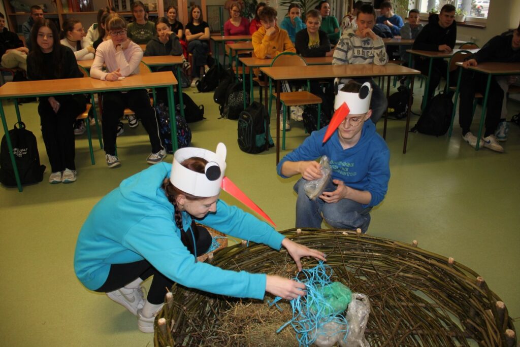 Bociania para wije gniazdo, fot. D. Borzyszkowska