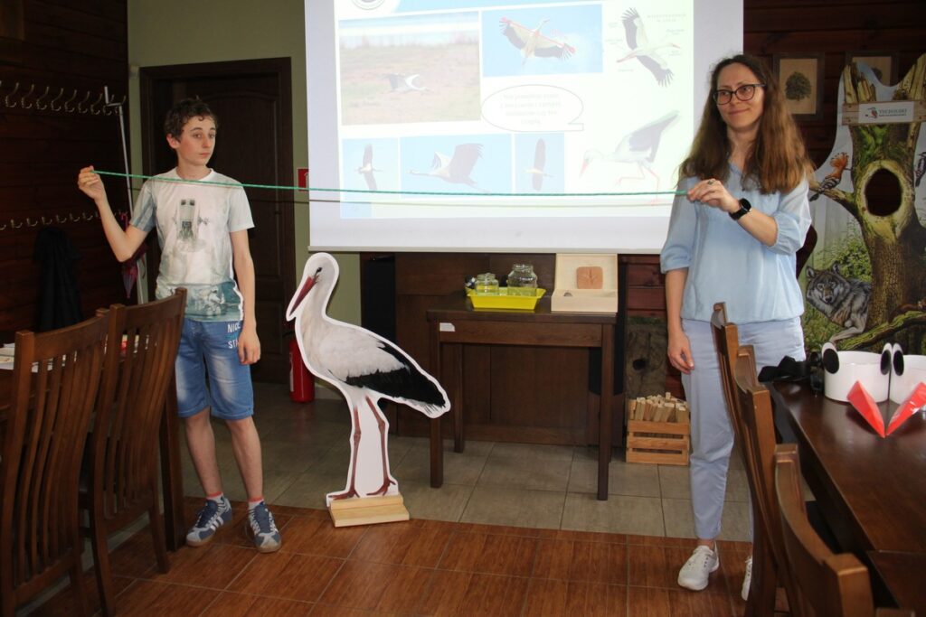 sprawdzamy rozpiętość skrzydeł bociana białego, D. Borzyszkowska