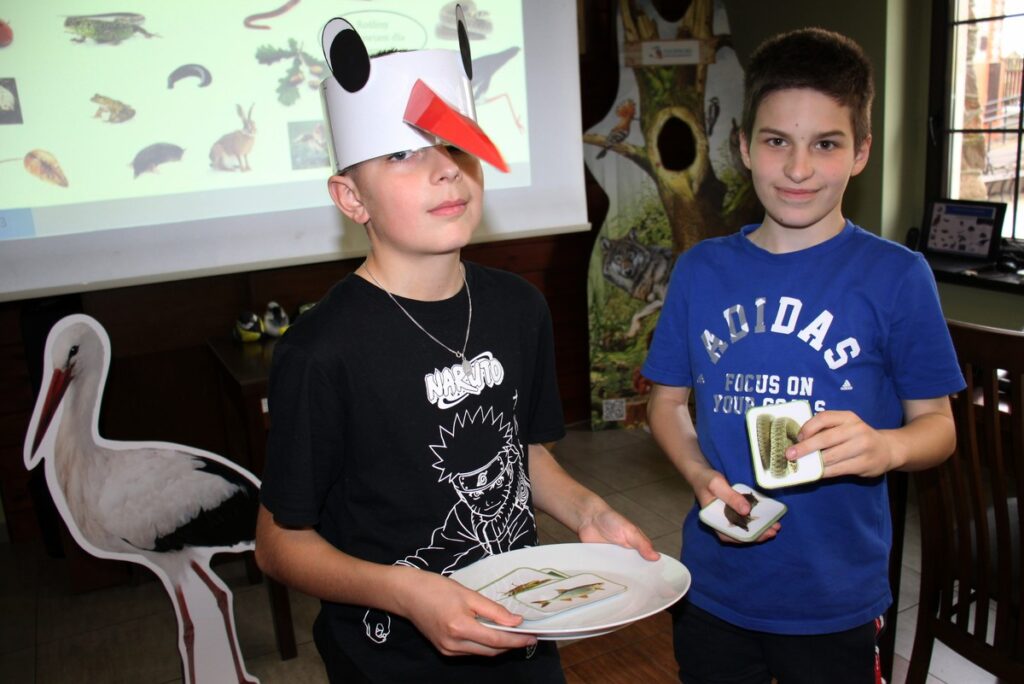 dziób bociana białego to narzędzie drapieżnika do upolowania innych zwierząt, D. Borzyszkowska