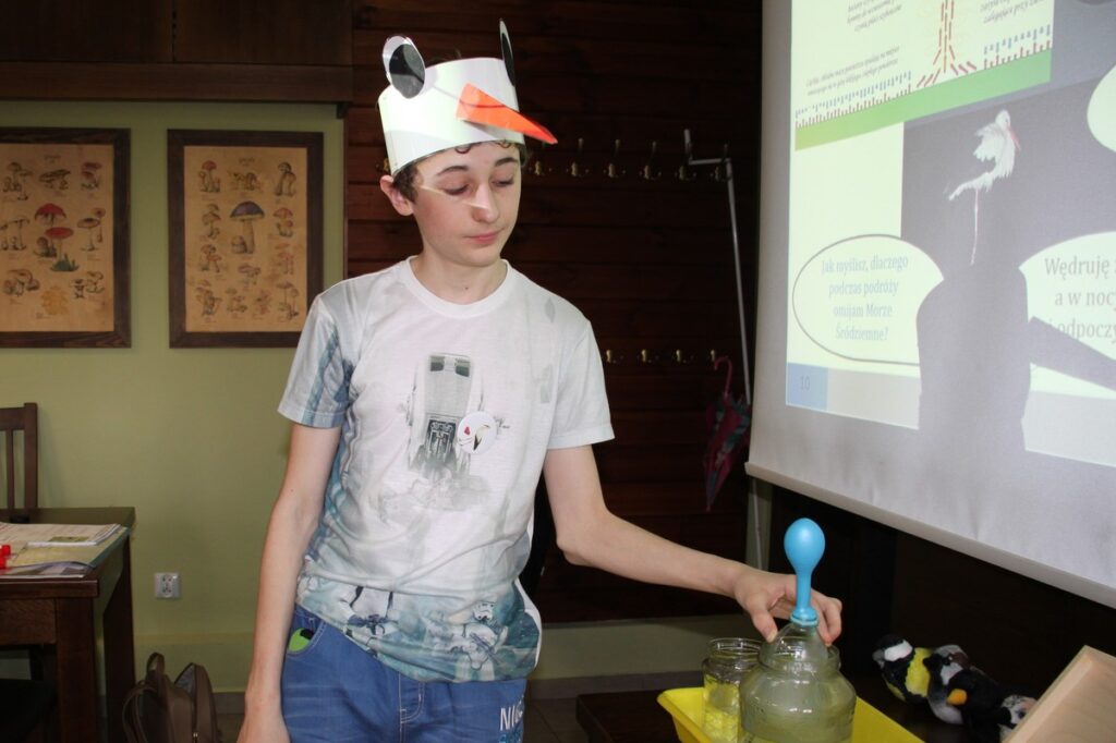 poznajemy jak działają kominy termiczne wykorzystywane do lotu przez bociana białego, D. Borzyszkowska