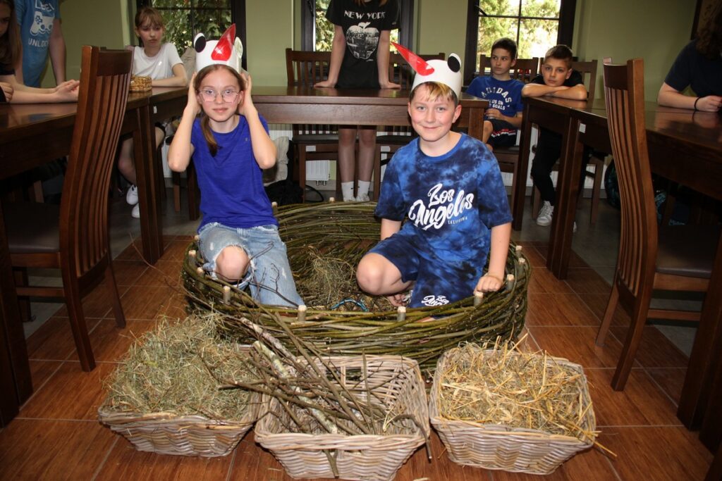 gniazdko gotowe, D. Borzyszkowska