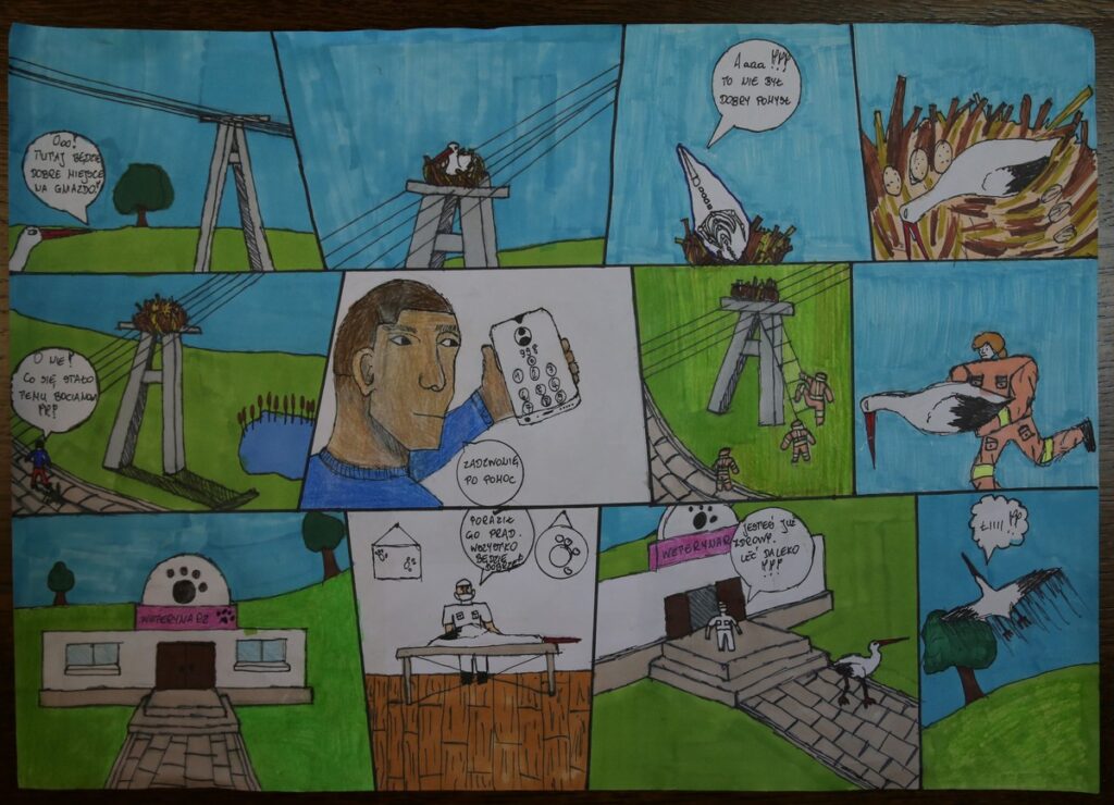 Komiks konkursowy, fot. R. Borzyszkowski