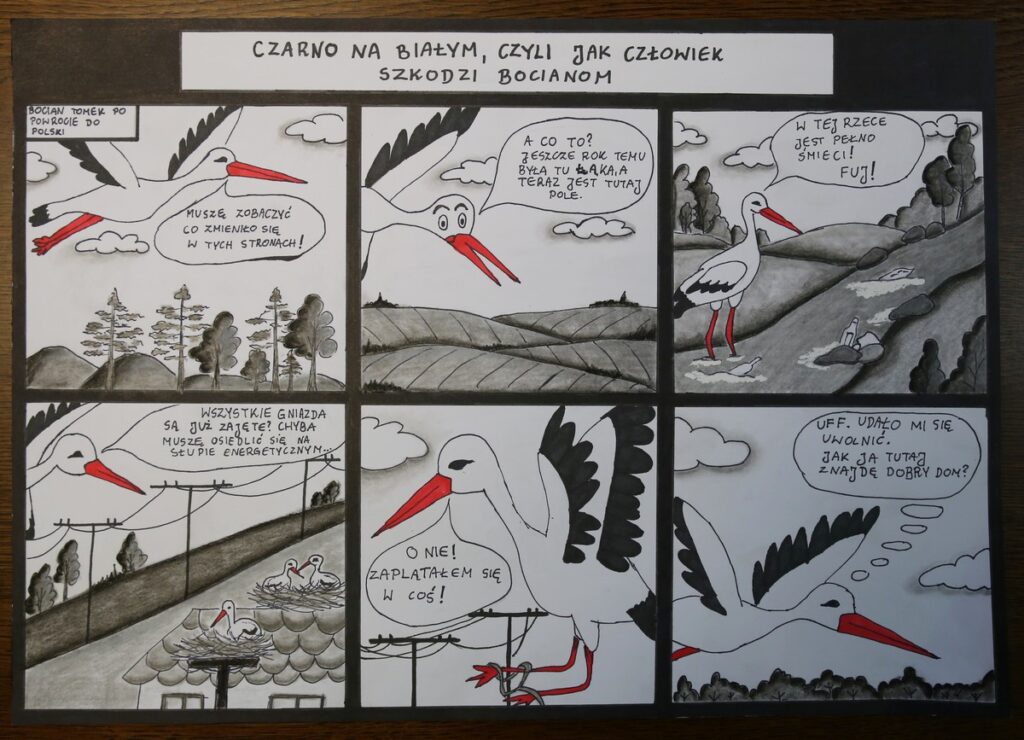 Komiks konkursowy, fot. R. Borzyszkowski