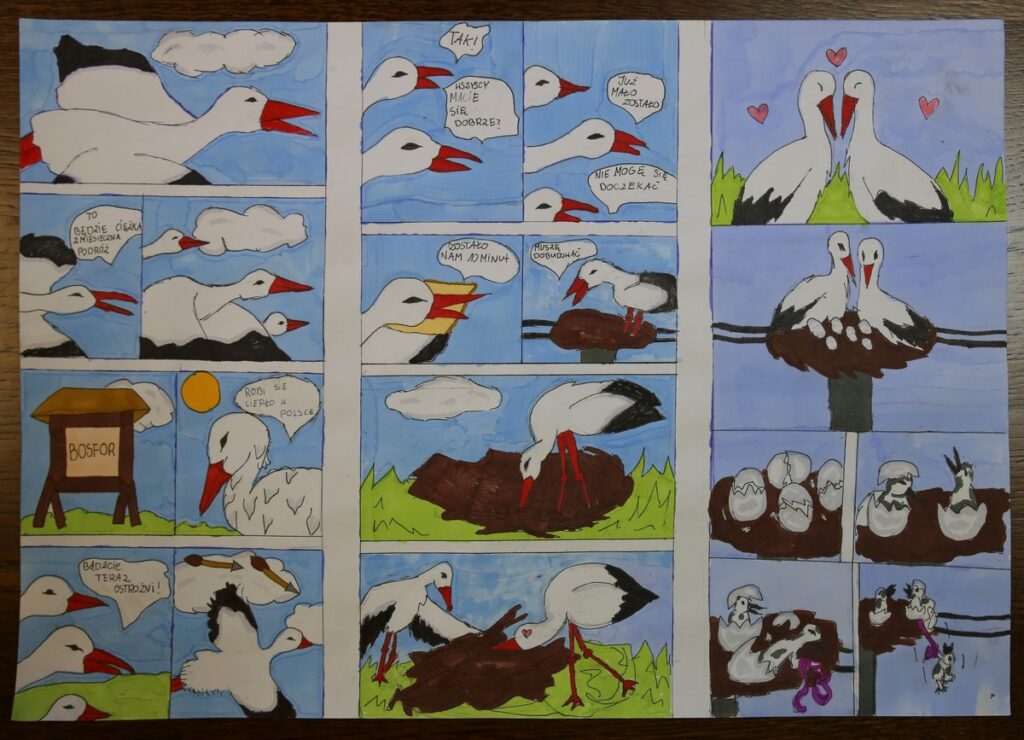 Komiks konkursowy, fot. R. Borzyszkowski