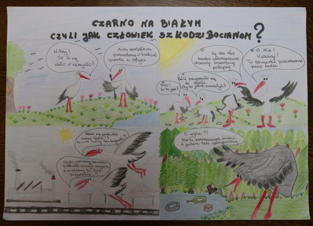 Komiks konkursowy, fot. R. Borzyszkowski