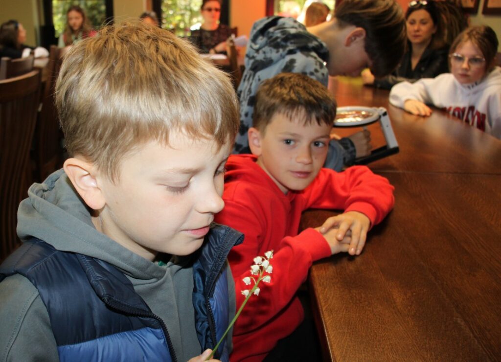 obserwujemy kwiaty, fot.D. Borzyszkowska