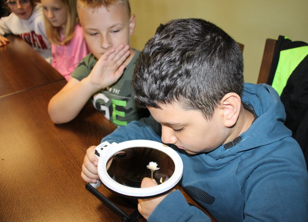 przyroda skonstruowała kwiatostany, fot.D. Borzyszkowska