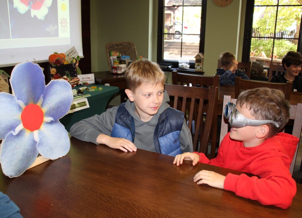 świat widziany przez owady, fot.D. Borzyszkowska