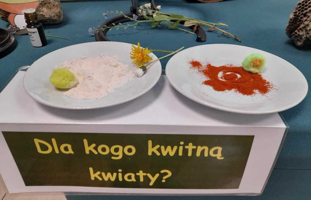 na czym polega zapylenie, fot.D. Borzyszkowska