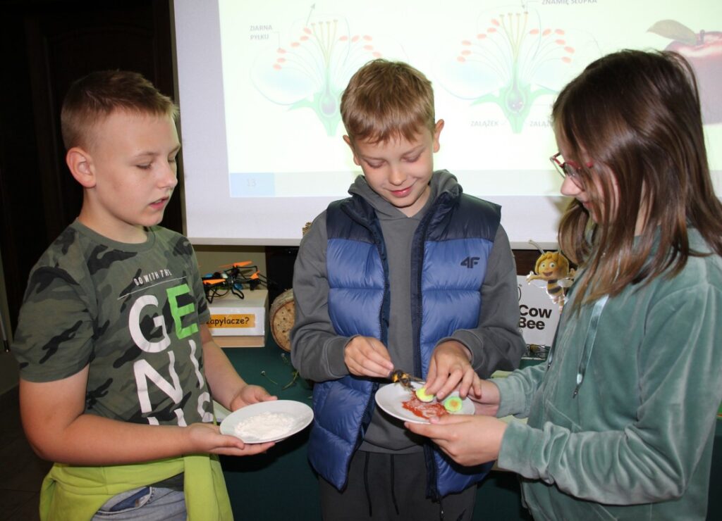 owady pszenoszą pyłek, fot.D. Borzyszkowska