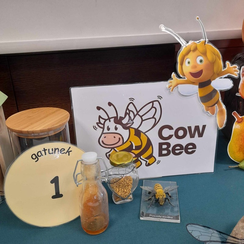 pszczoła miodna zwierzę hodowlane, fot.D. Borzyszkowska