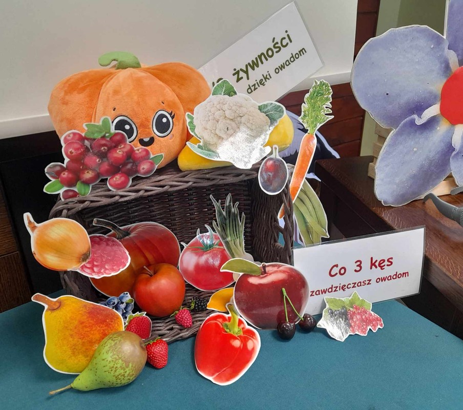 kosz darów dzięki owadom zapylającym, fot.D. Borzyszkowska