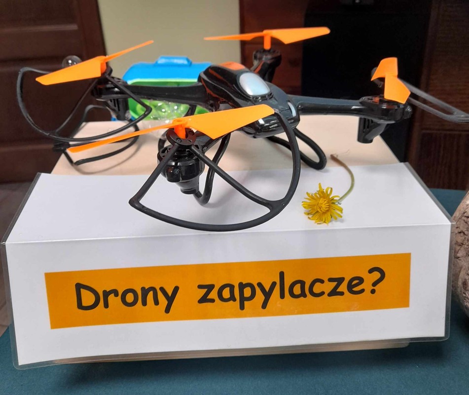 wizja przyszłości, fot.D. Borzyszkowska