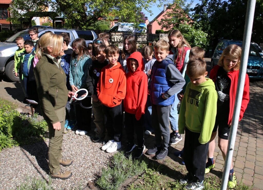 zajęcia terenowe , fot.R. Borzyszkowski