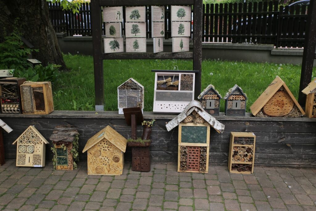 Zwycięskie i wyróżnione prace, fot. R. Borzyszkowski