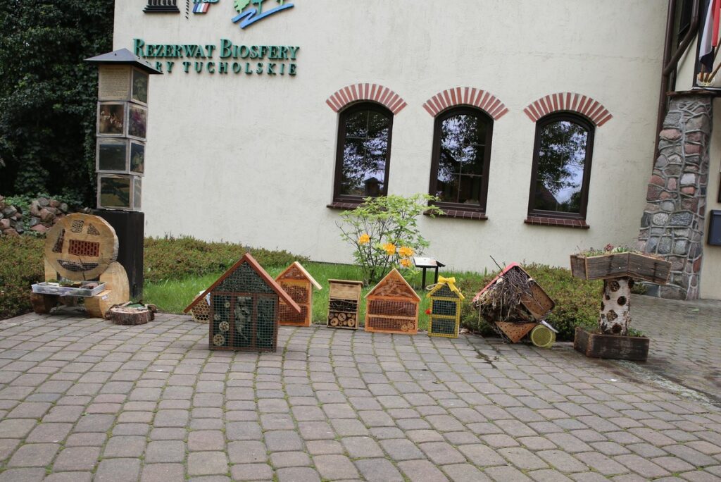 Konkursowe prace, fot. R. Borzyszkowski