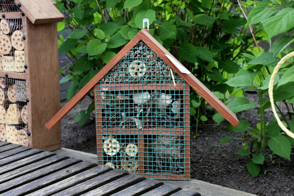 Hotel - kat. klas IV-VIII, fot. R. Borzyszkowski