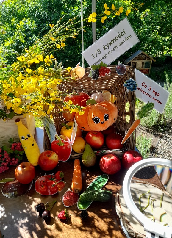 Happening, fot. Dorota Borzyszkowska