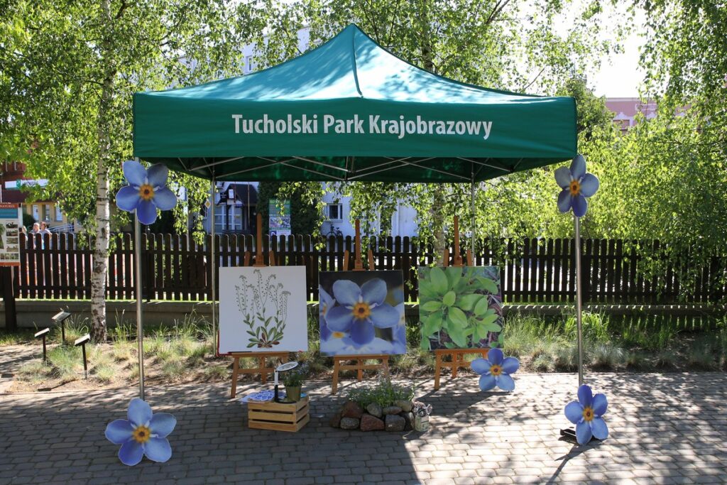 Happening, fot. Rafał Borzyszkowski