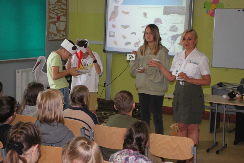 uzgadniamy menu dla bociana białego, fot. R. Borzyszkowski