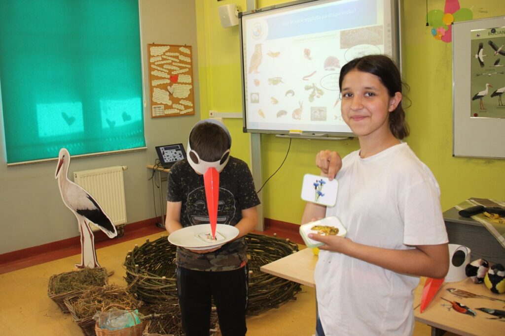 bocian biały nie jest weganem, fot. D. Borzyszkowska