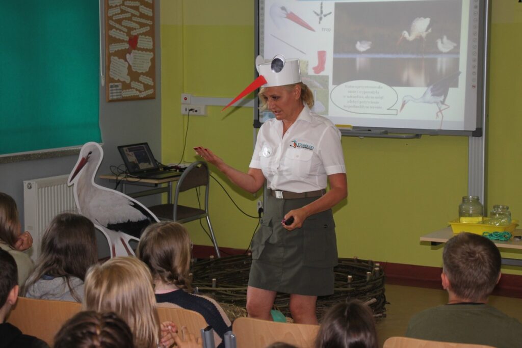 dziób bociana białego jest niebezpieczny dla człowieka, fot. R. Borzyszkowski